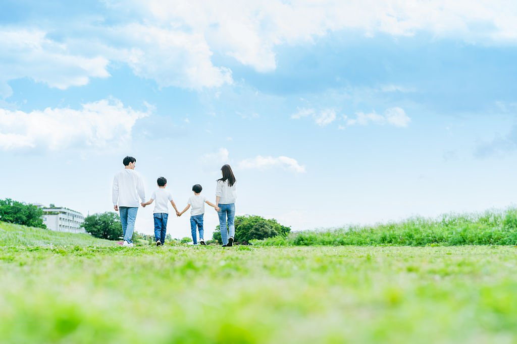 a family walking on a meadow against the blue sky